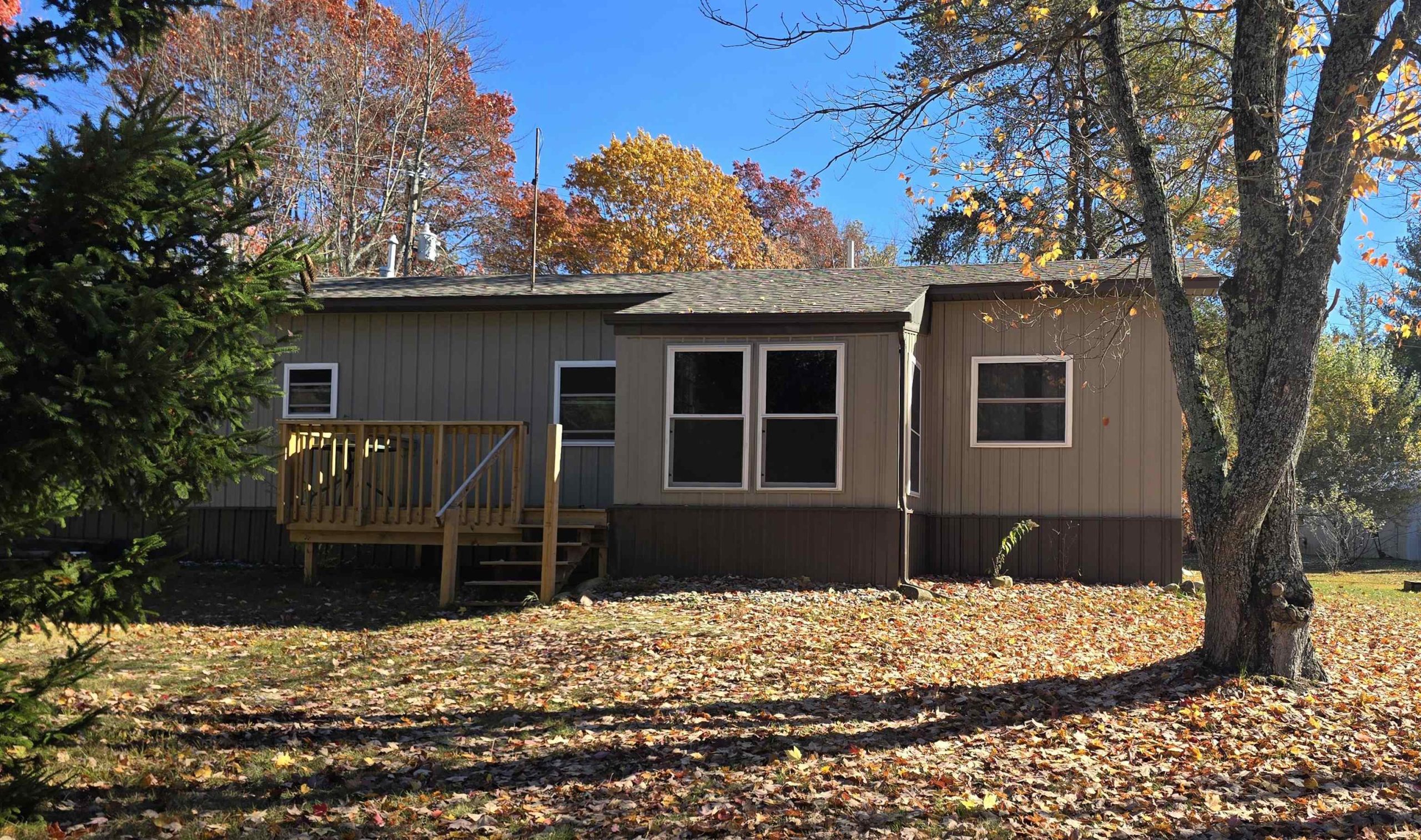 2894 White Pine