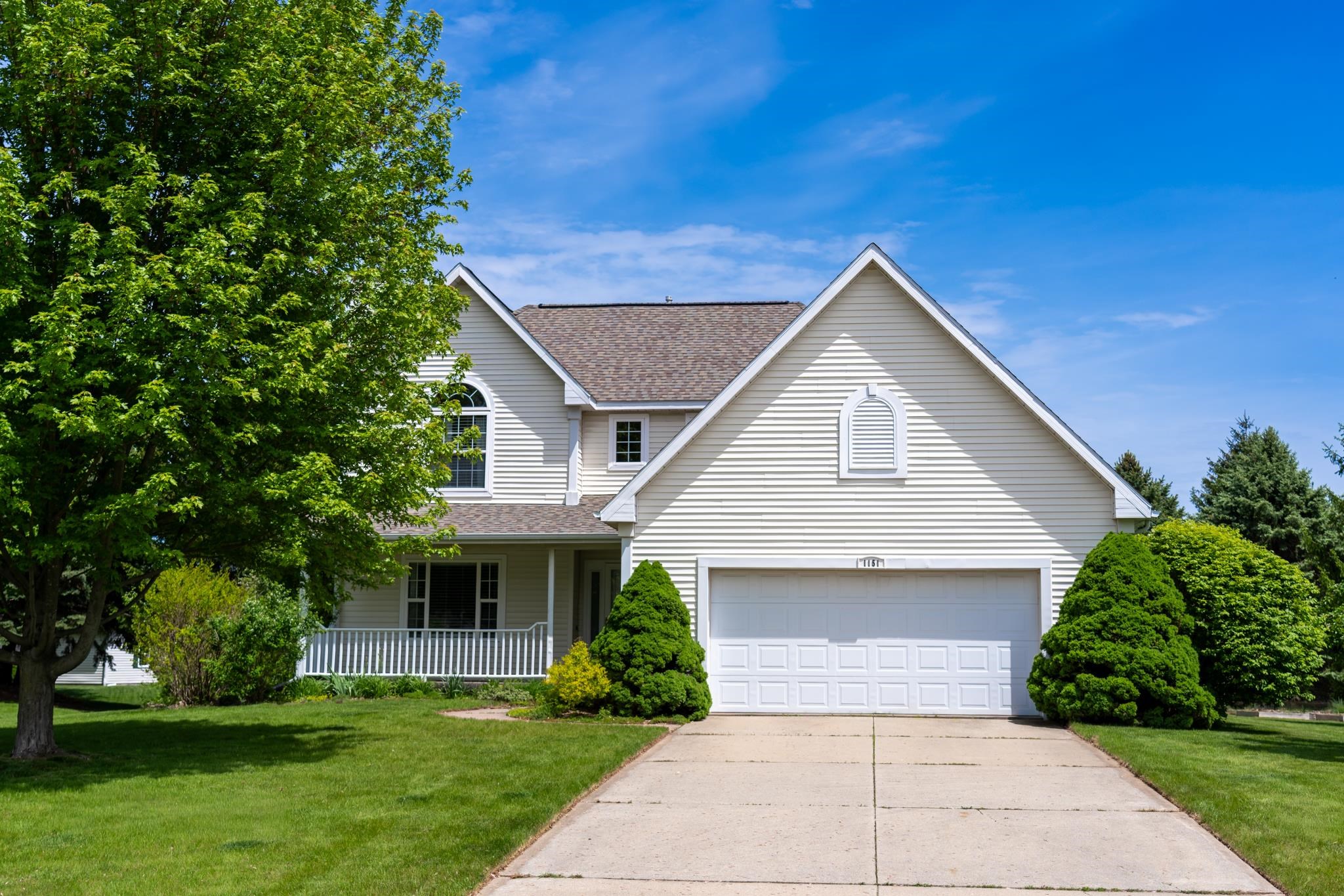 1151 Meadow