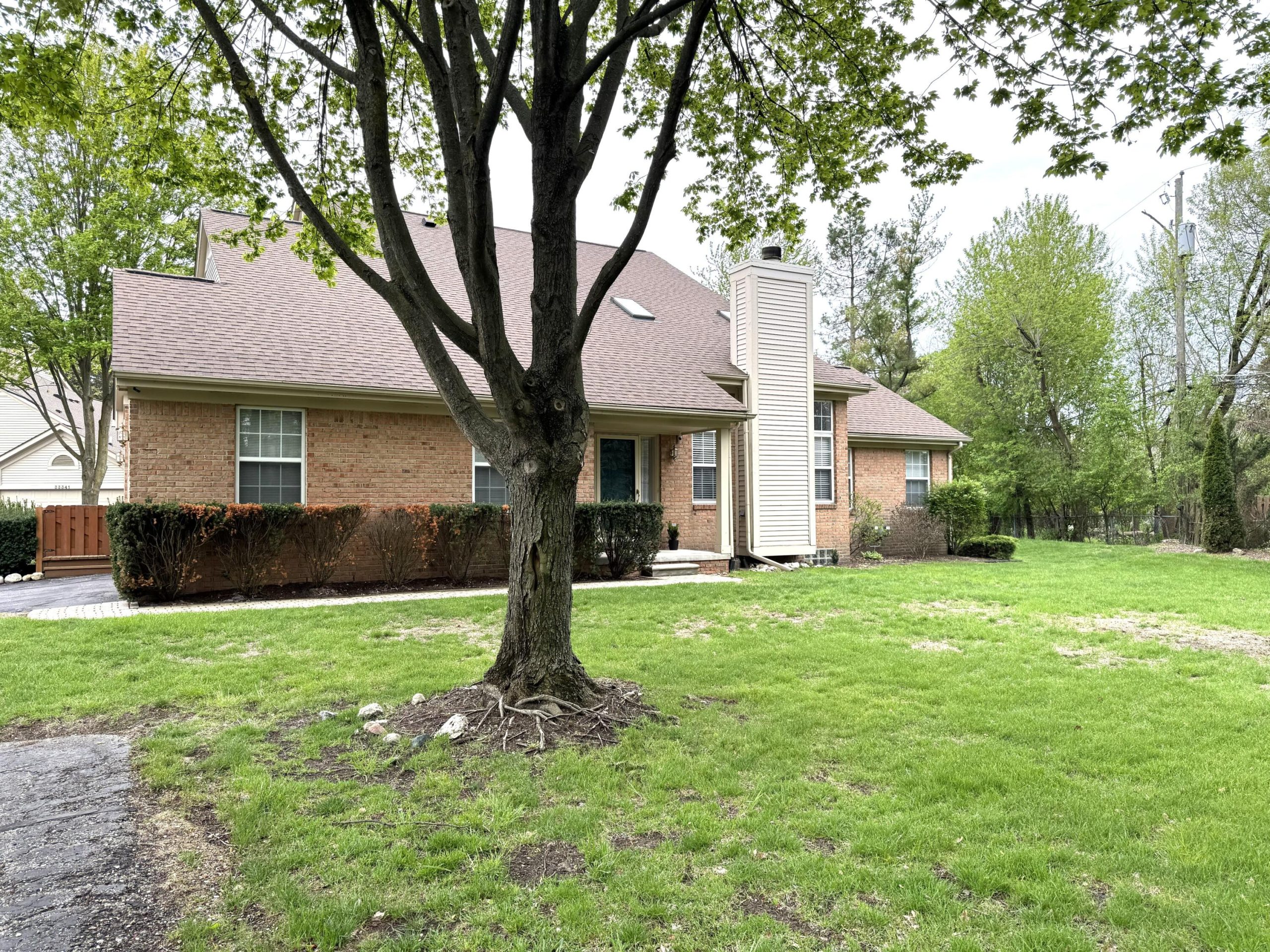 33377 Norfolk Street Unit: 3