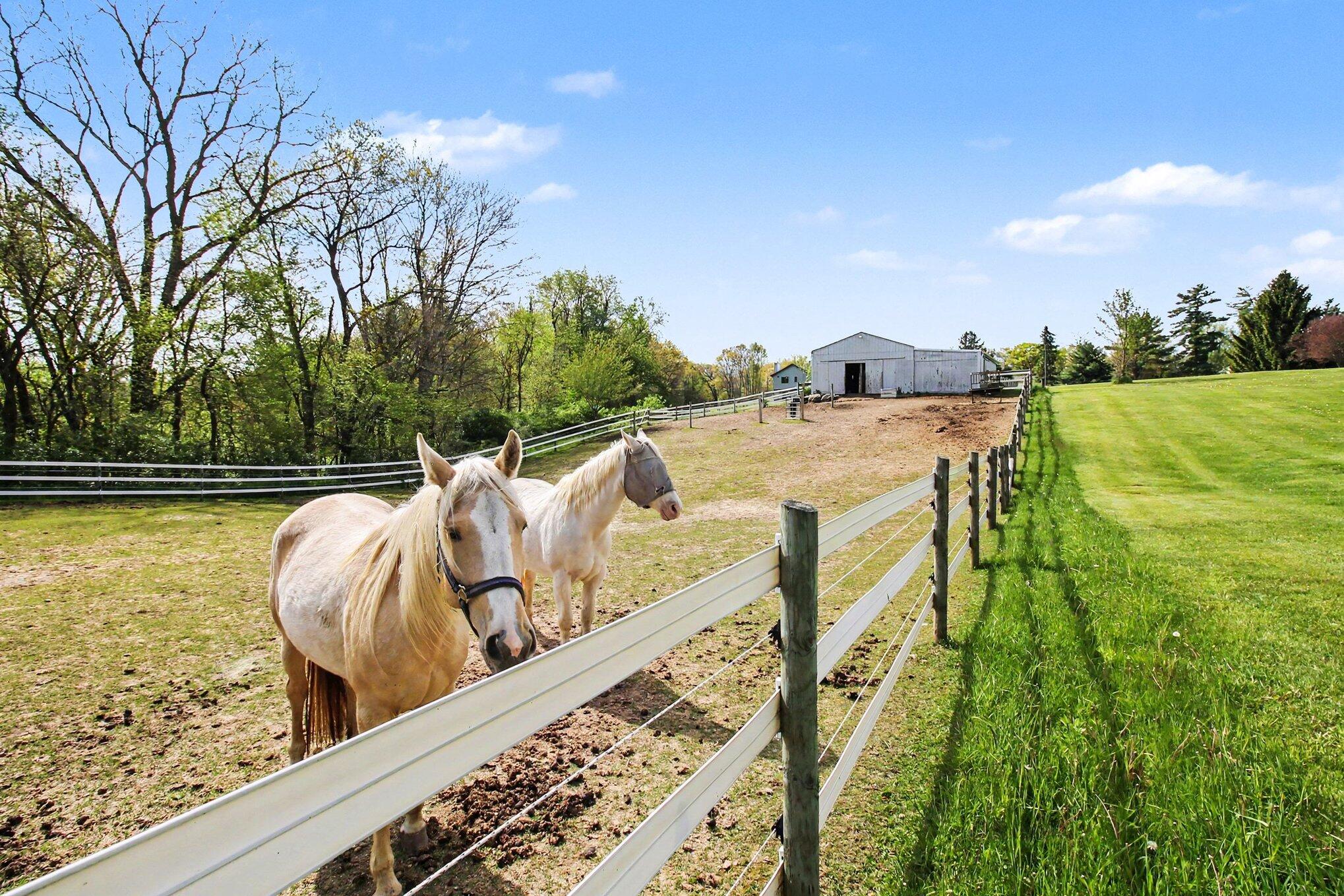 2536 W Coon Lake Road
