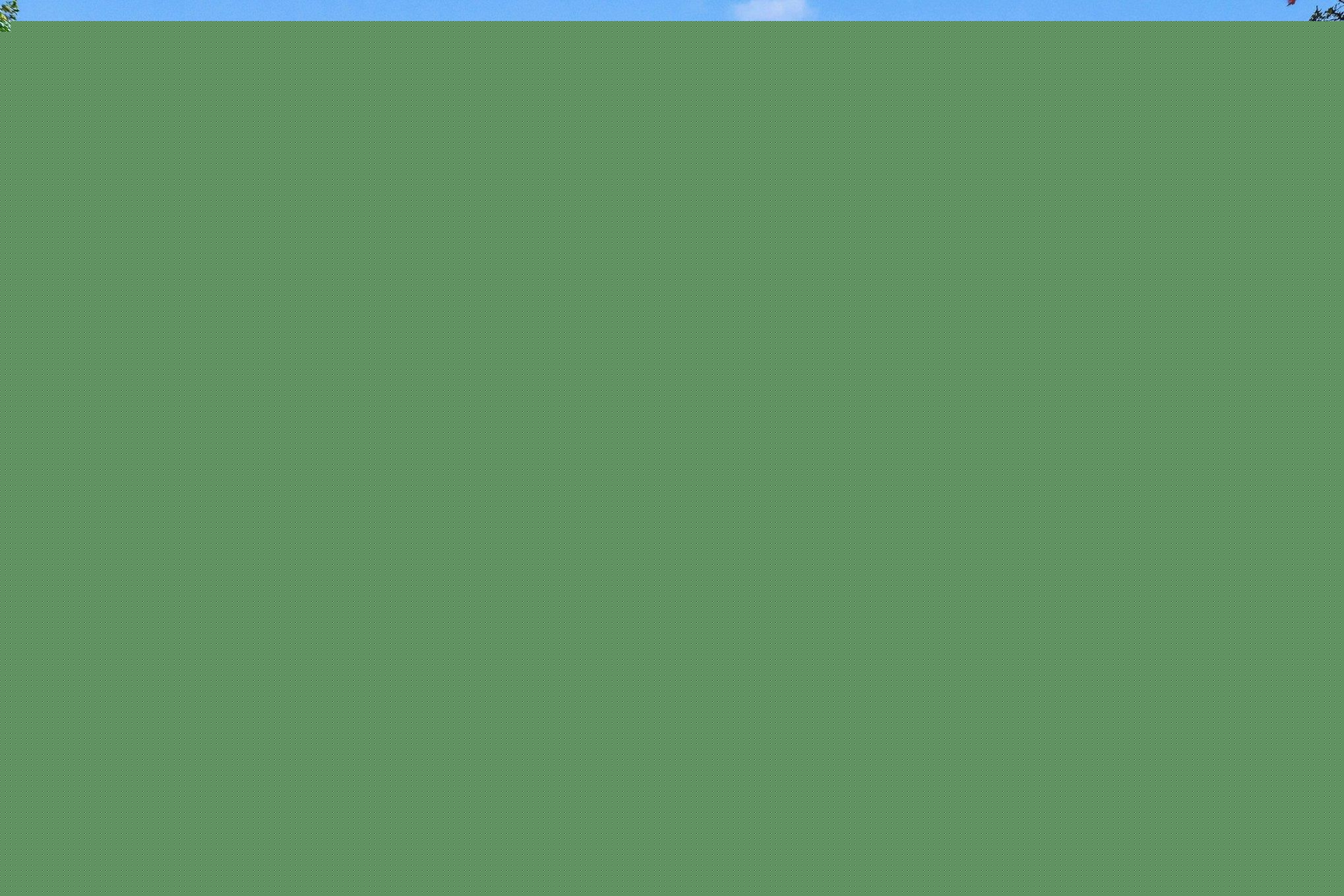 3057 W M-72