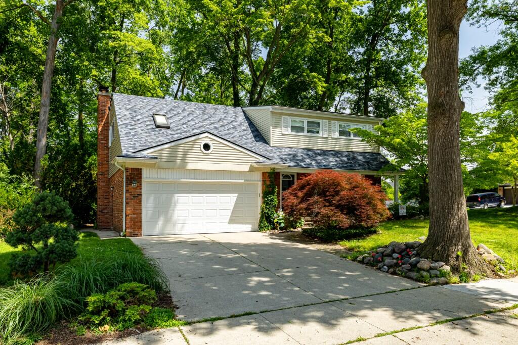 3665 Frederick Drive