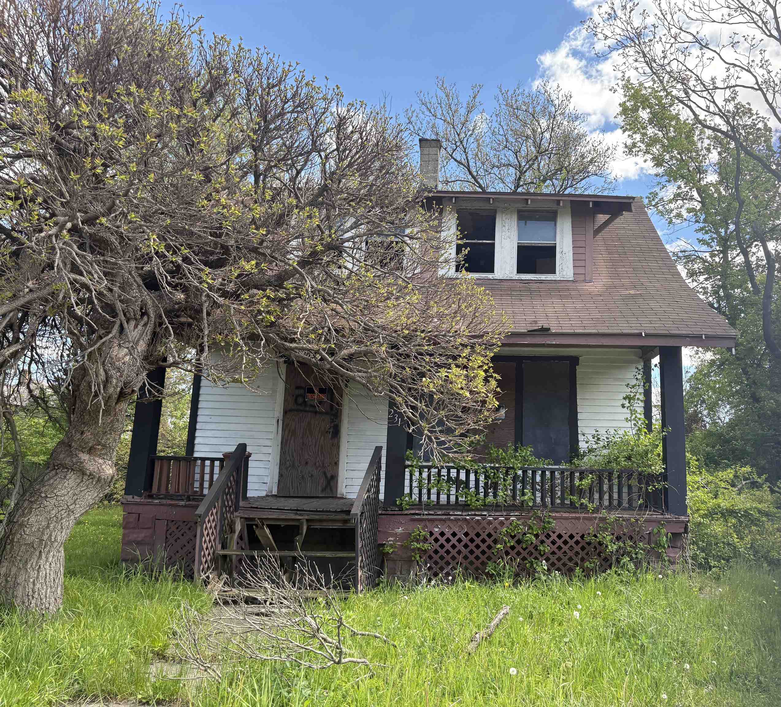 231 Grove ST