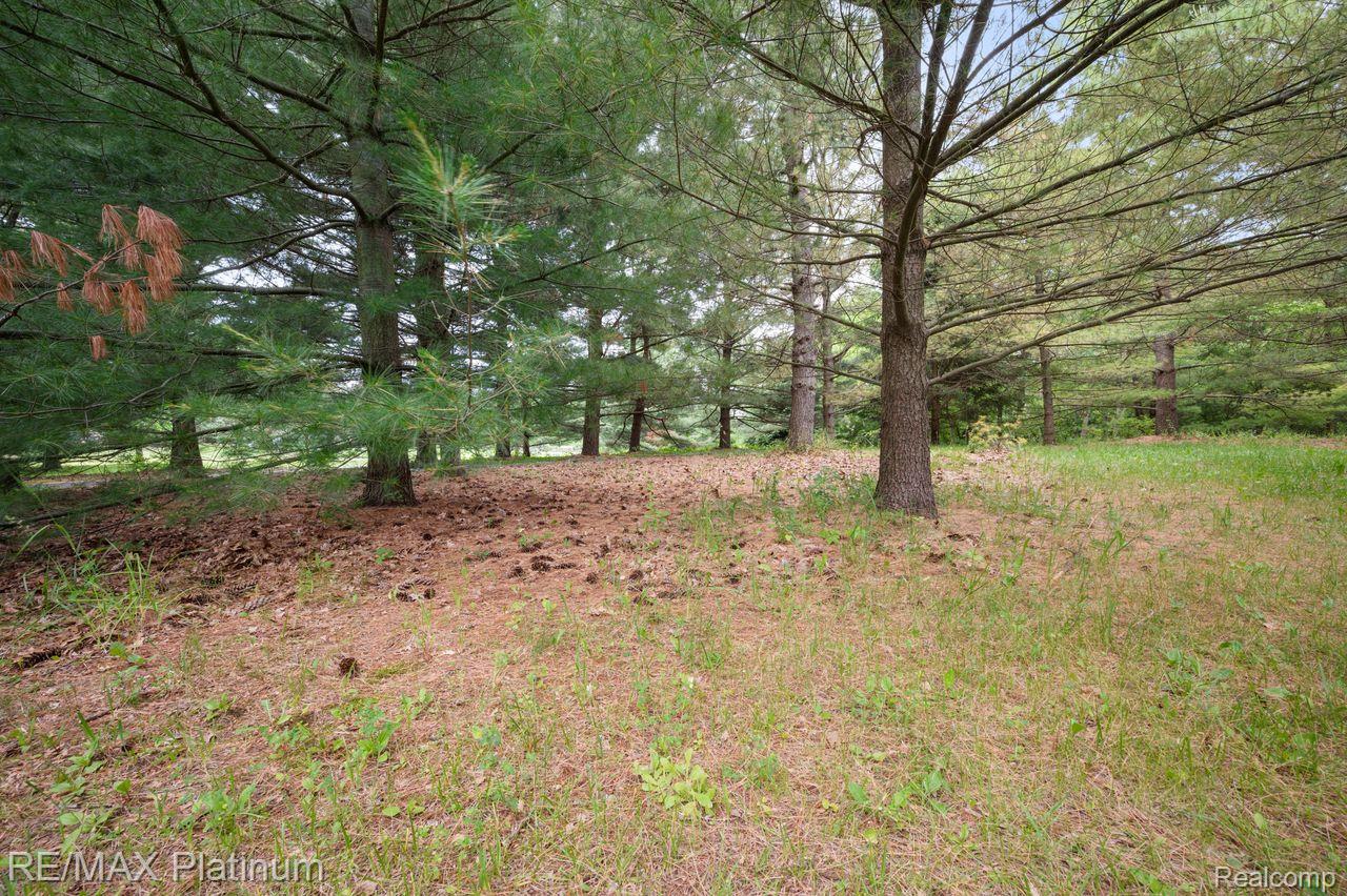 12902, Autumn Ridge, Milford, Michigan, 48380