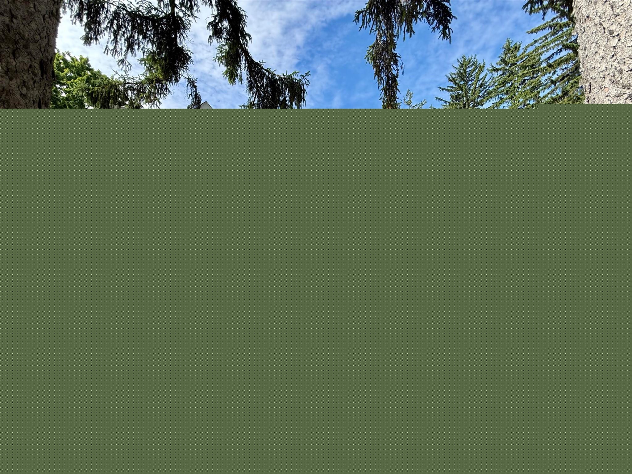 2175, Fairway, Birmingham, Michigan, 48009