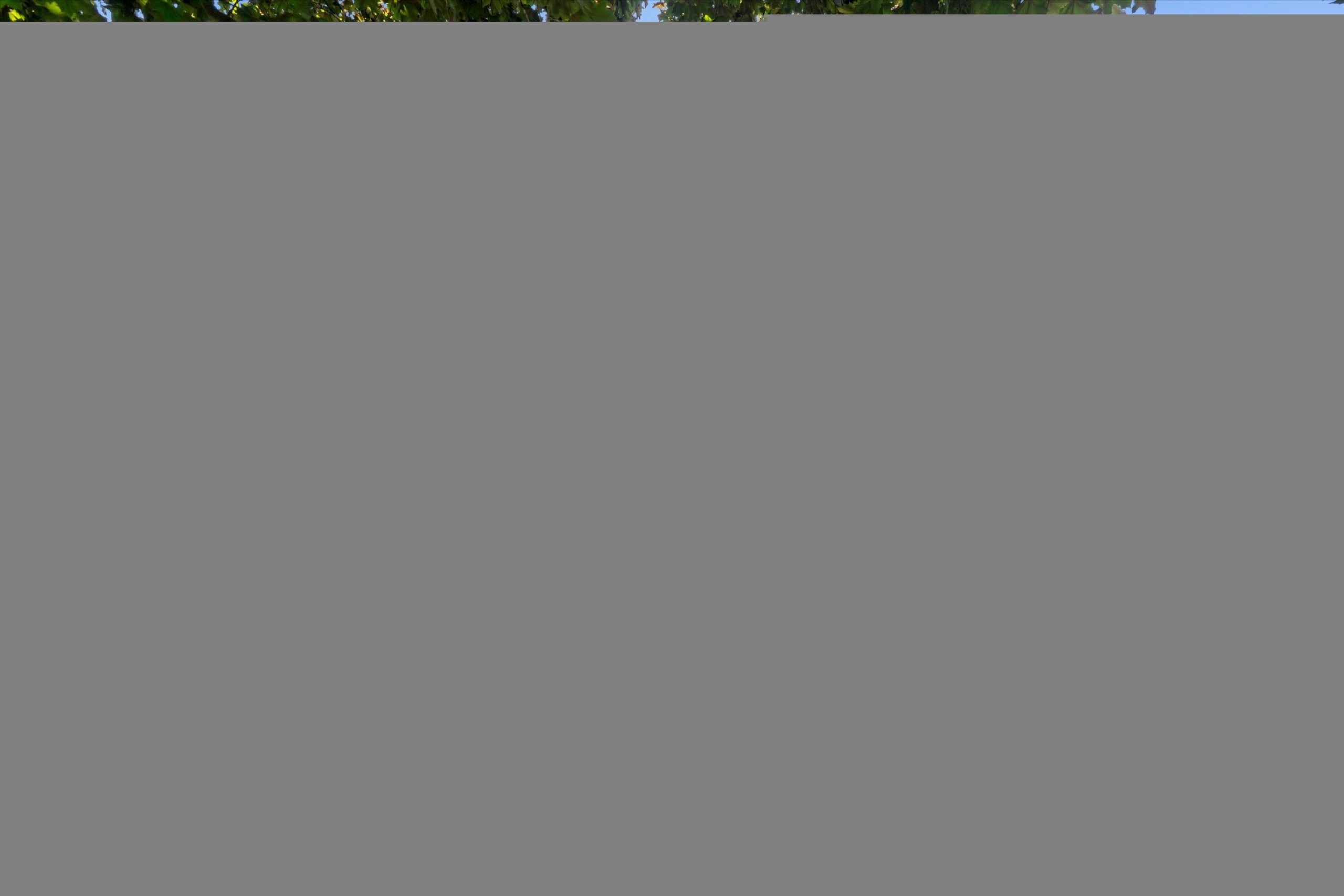 16009 Cavanaugh Lake Road