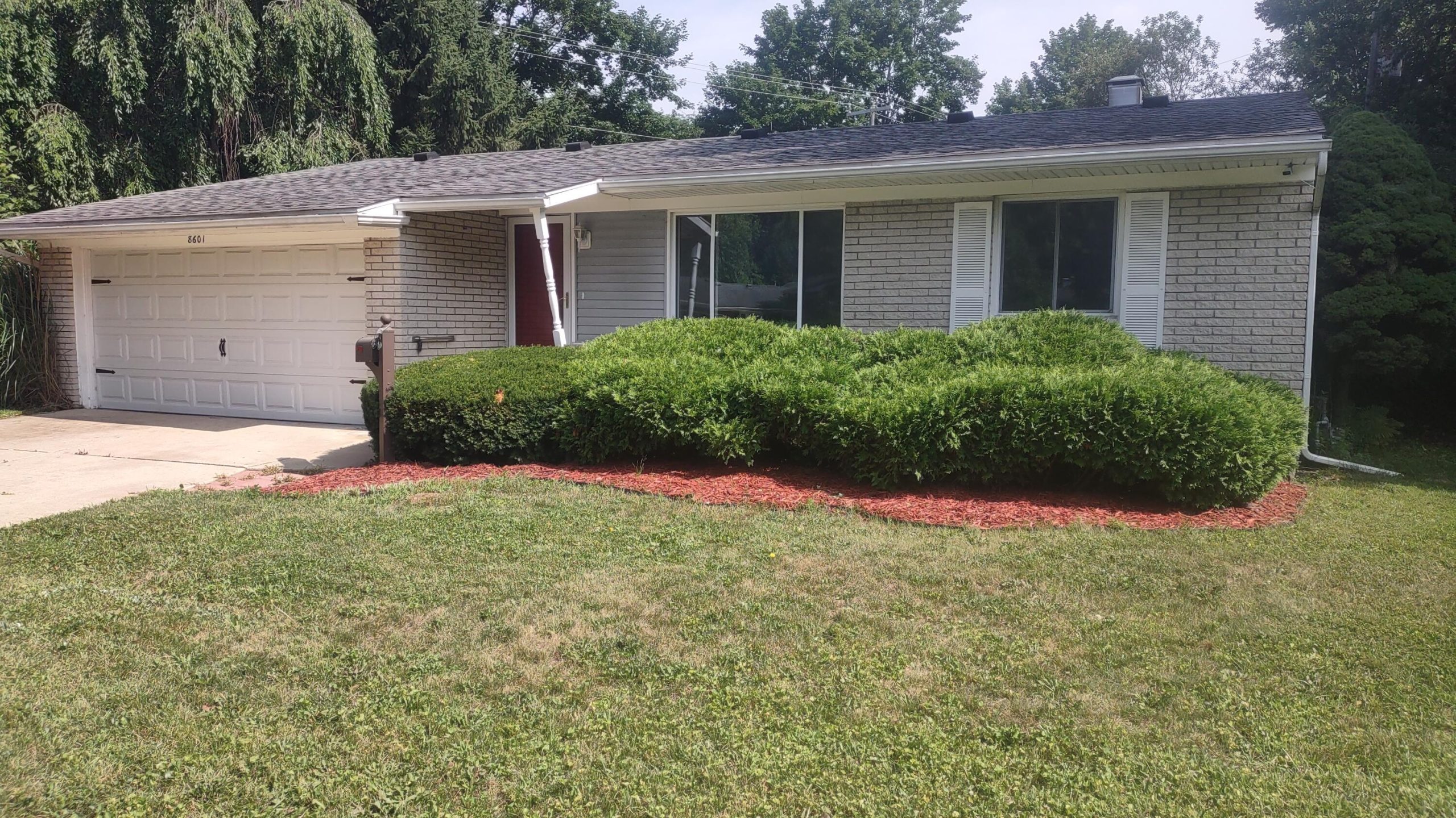8601 Cedar Court