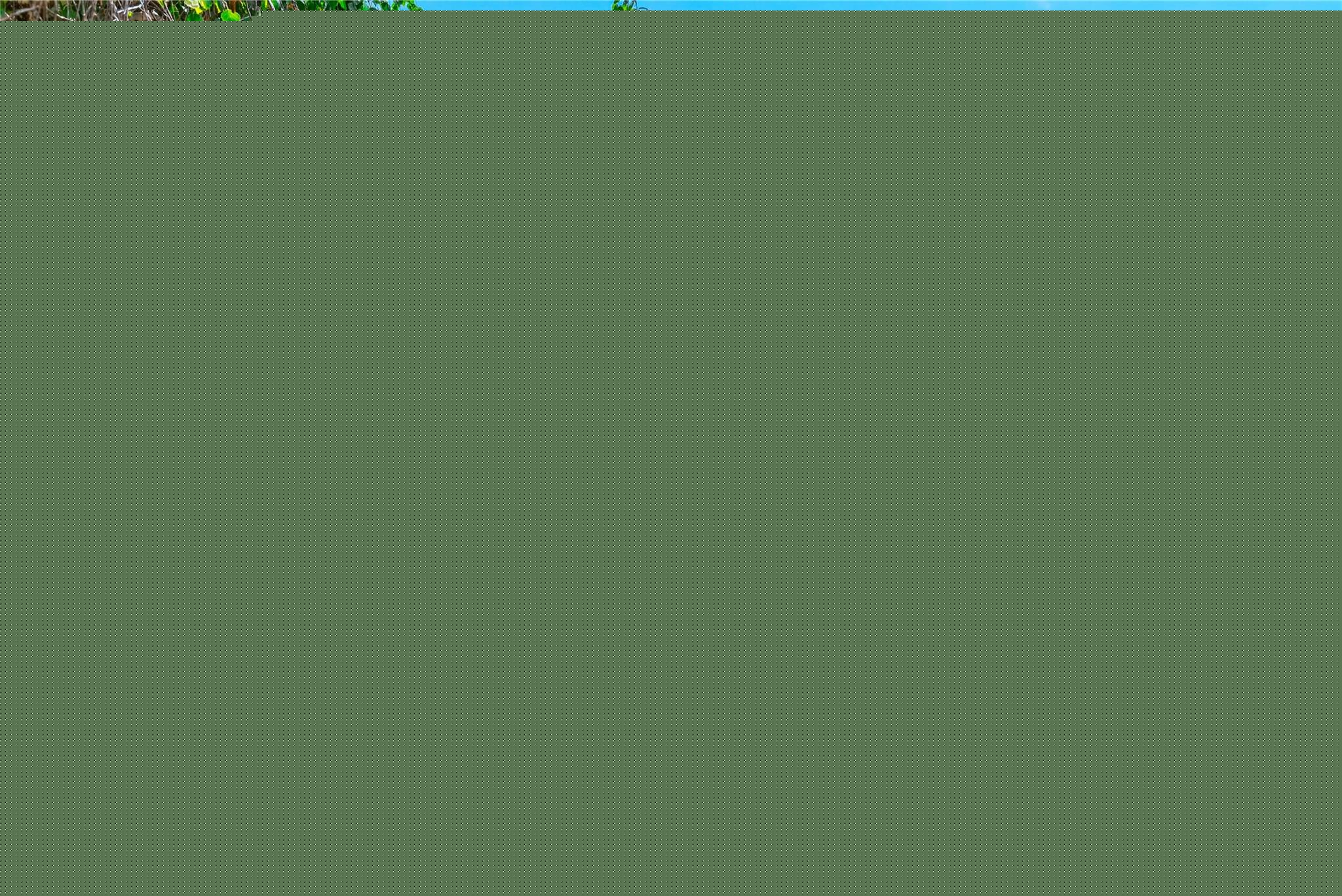 32039, Avondale, Westland, Michigan, 48186