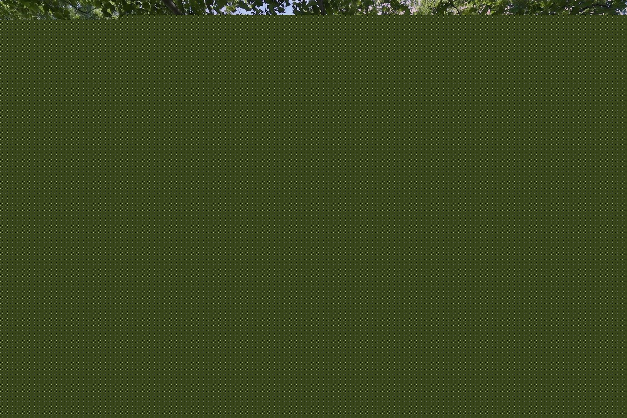 3366, Williamsburg, Ann Arbor, Michigan, 48108
