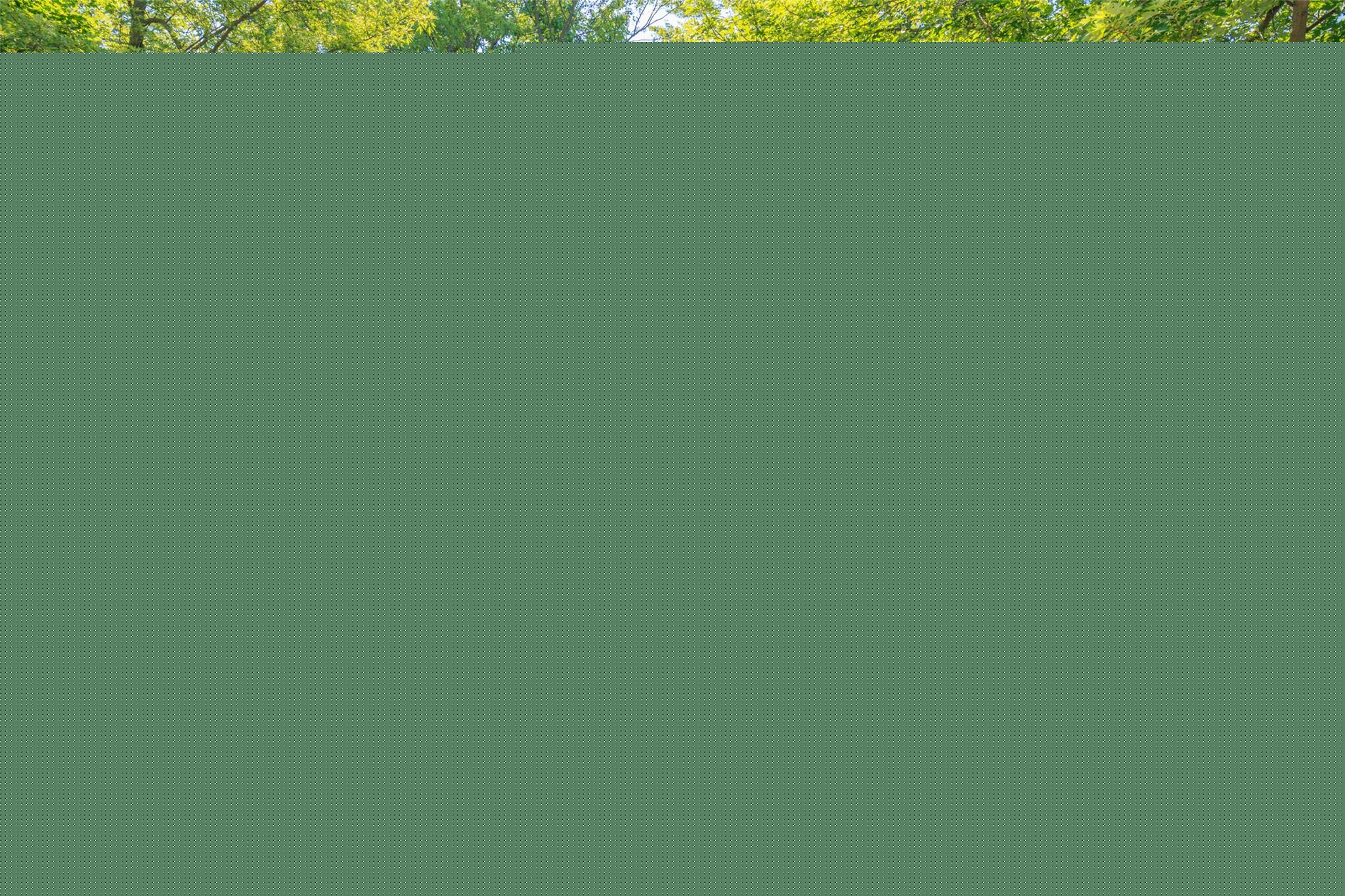 556, Troy, Ferndale, Michigan, 48220